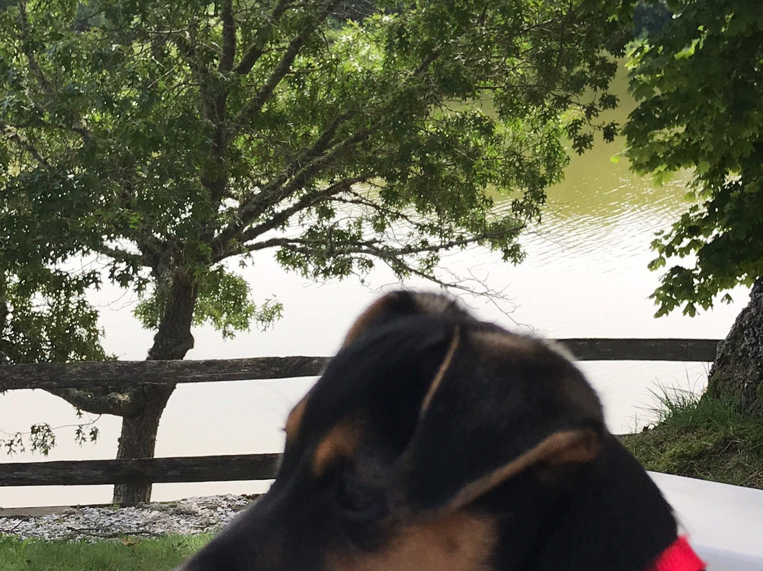 Green Harbor Waterfront Lodging主图