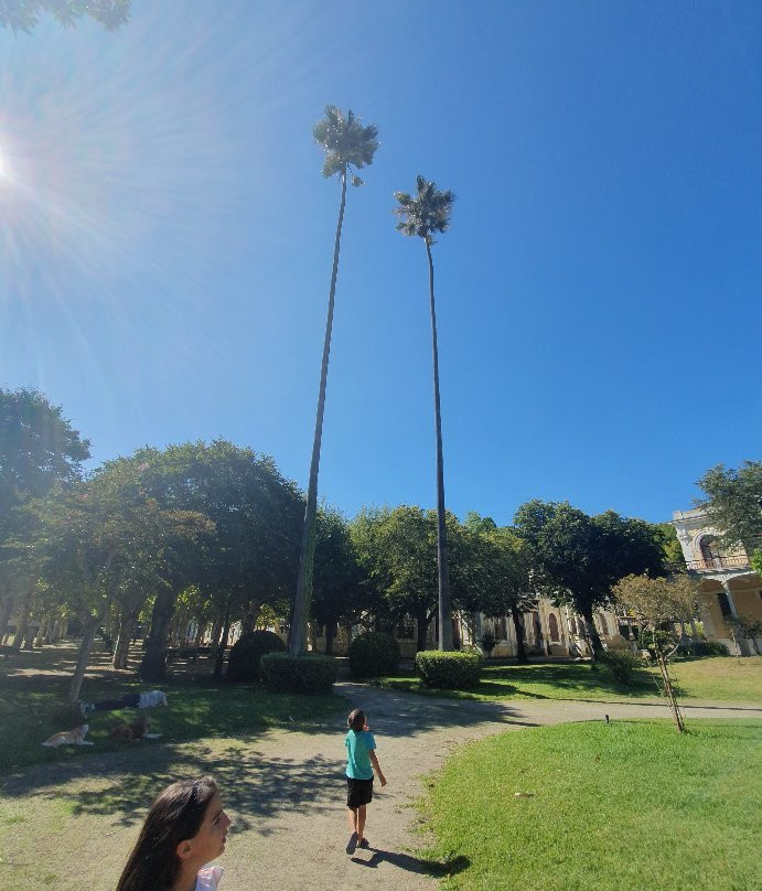 Curia Park-Curia必去景点
