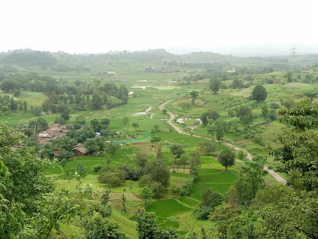 Ashoka Falls景点图片