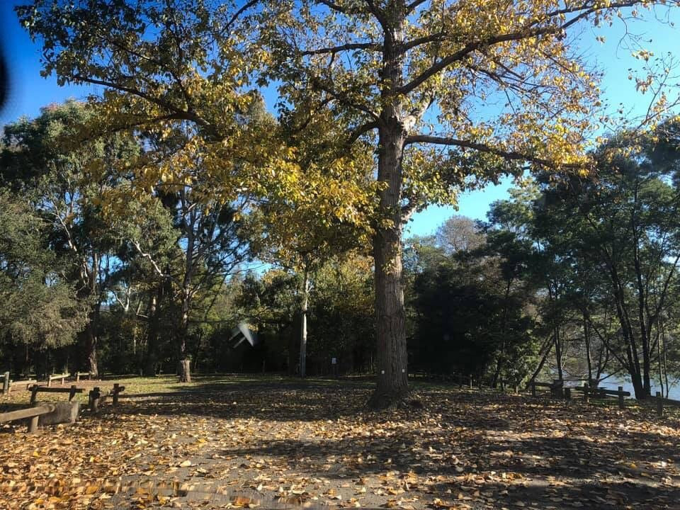 Gippsland Plains Scenic Drive-特拉拉尔根必去景点