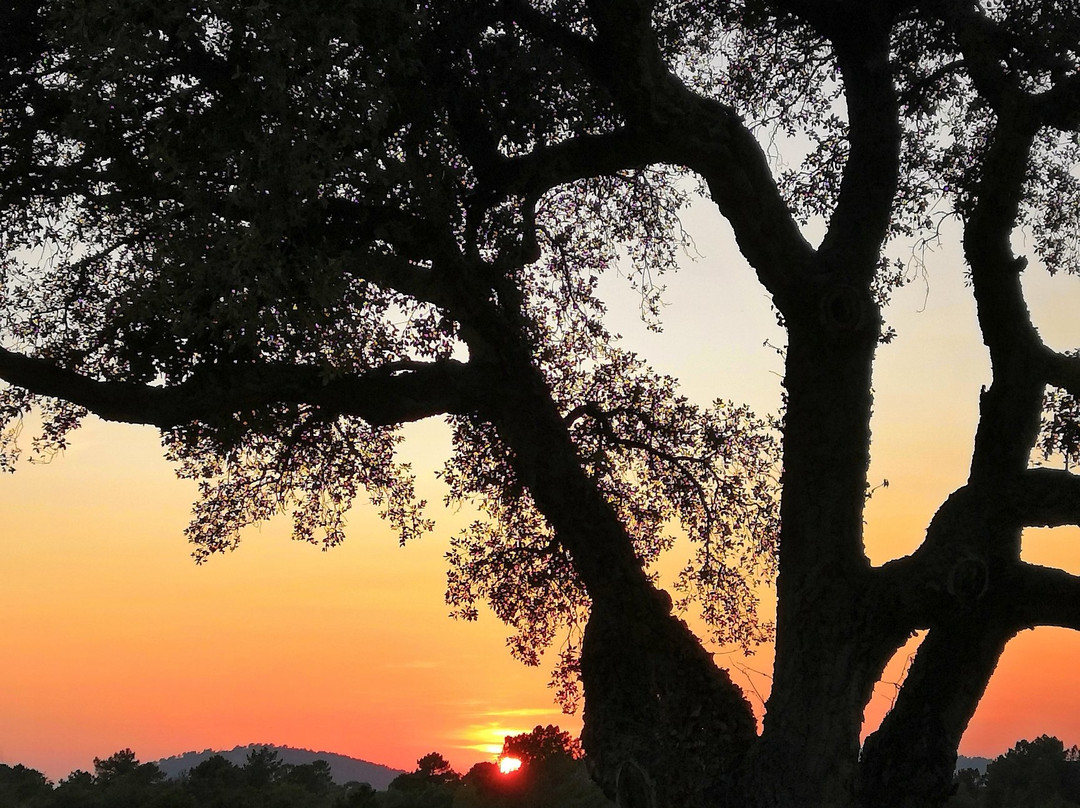 La Maison de Nathalie主图