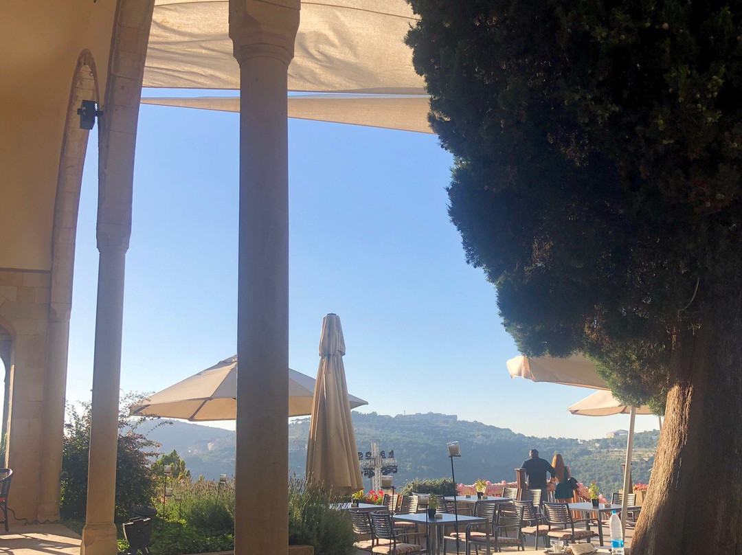 Mir Amin Palace Hotel主图