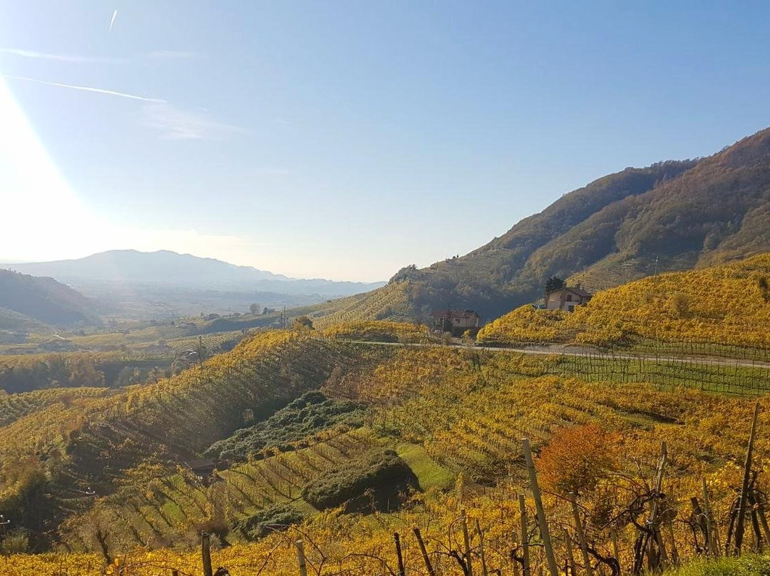 ITALY CYCLING TOUR-Valdobbiadene必去景点