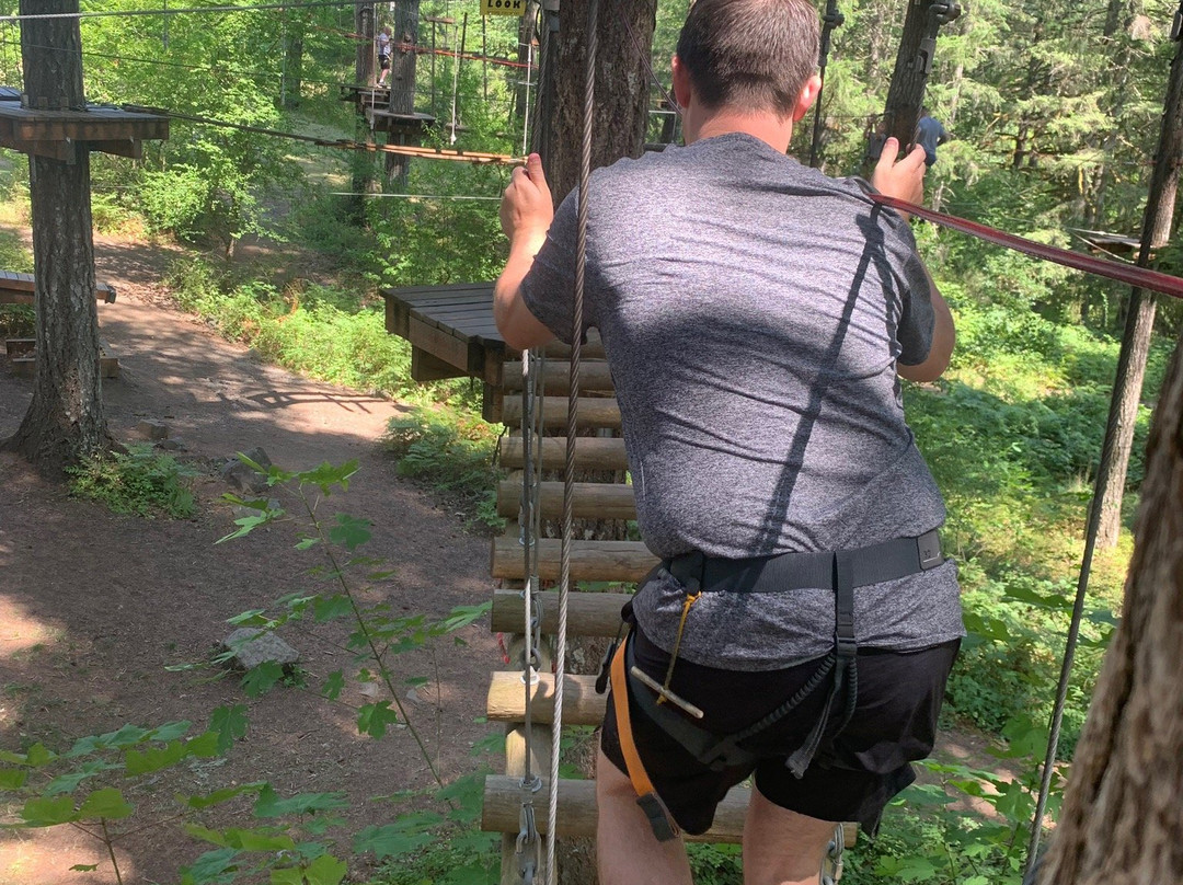 Tree to Tree Adventure Park-Gaston必去景点