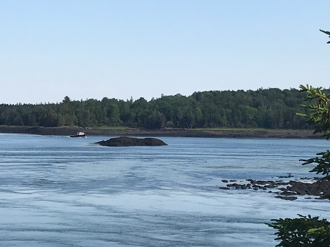 Reversing Falls Park-Pembroke必去景点