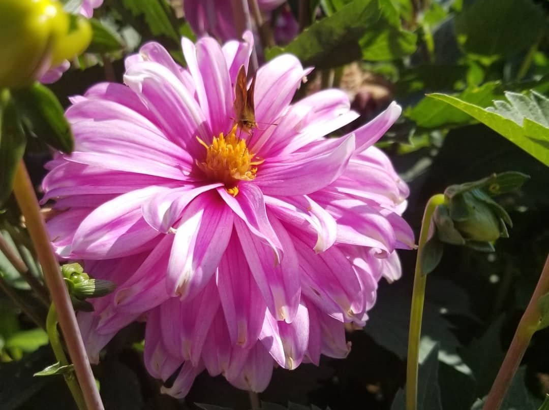 Moonridge Farms-Beavercreek必去景点