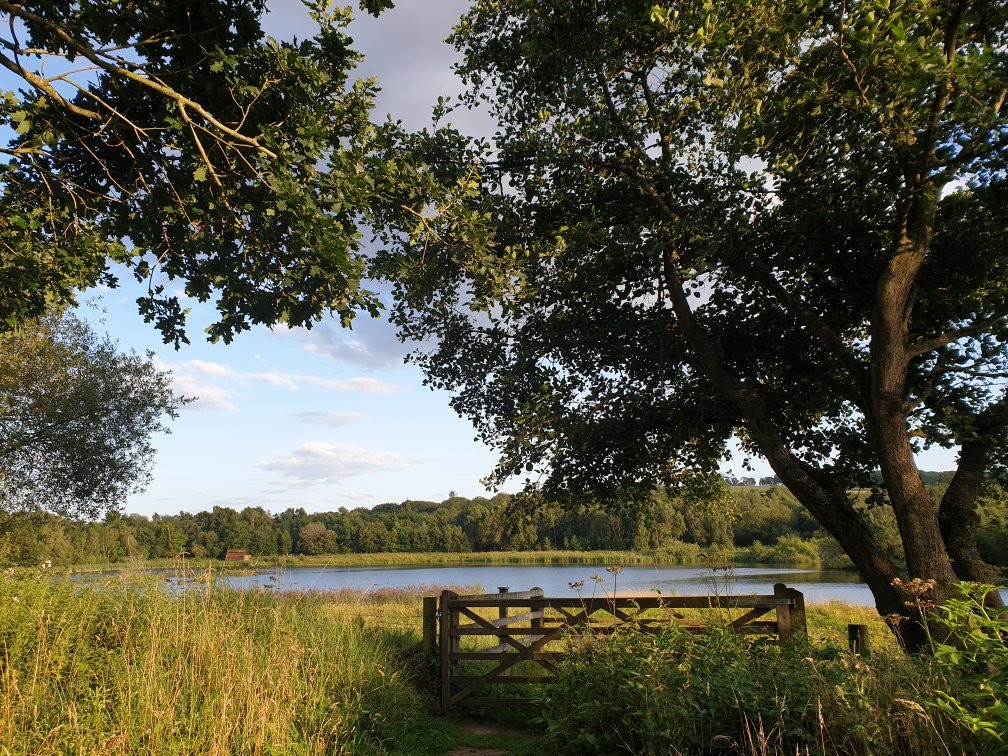 Low Barns Nature Reserve & Visitor Centre景点图片