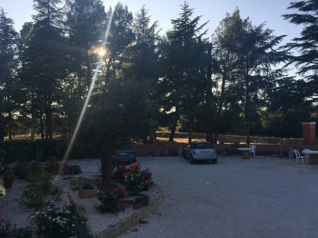Agriturismo il Castagnaro主图