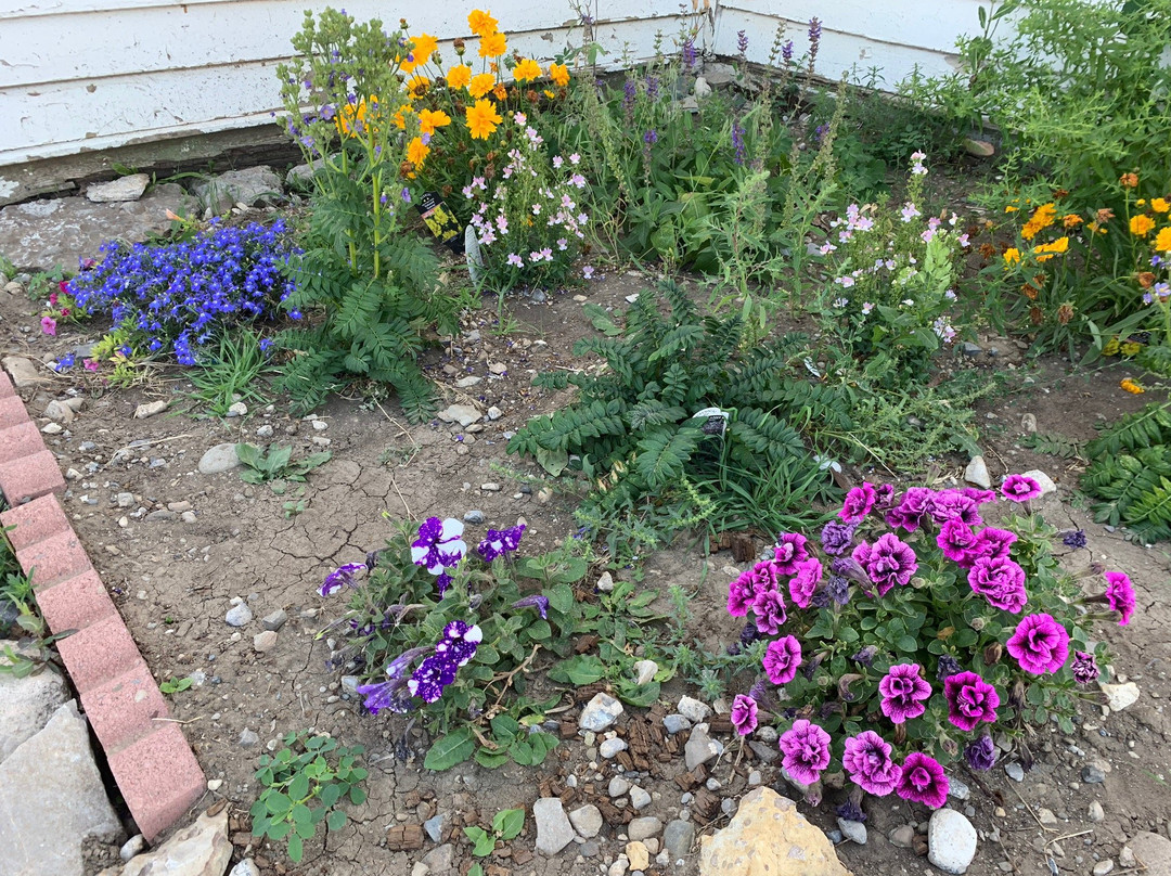 Trex Agate Shop-Bynum必去景点