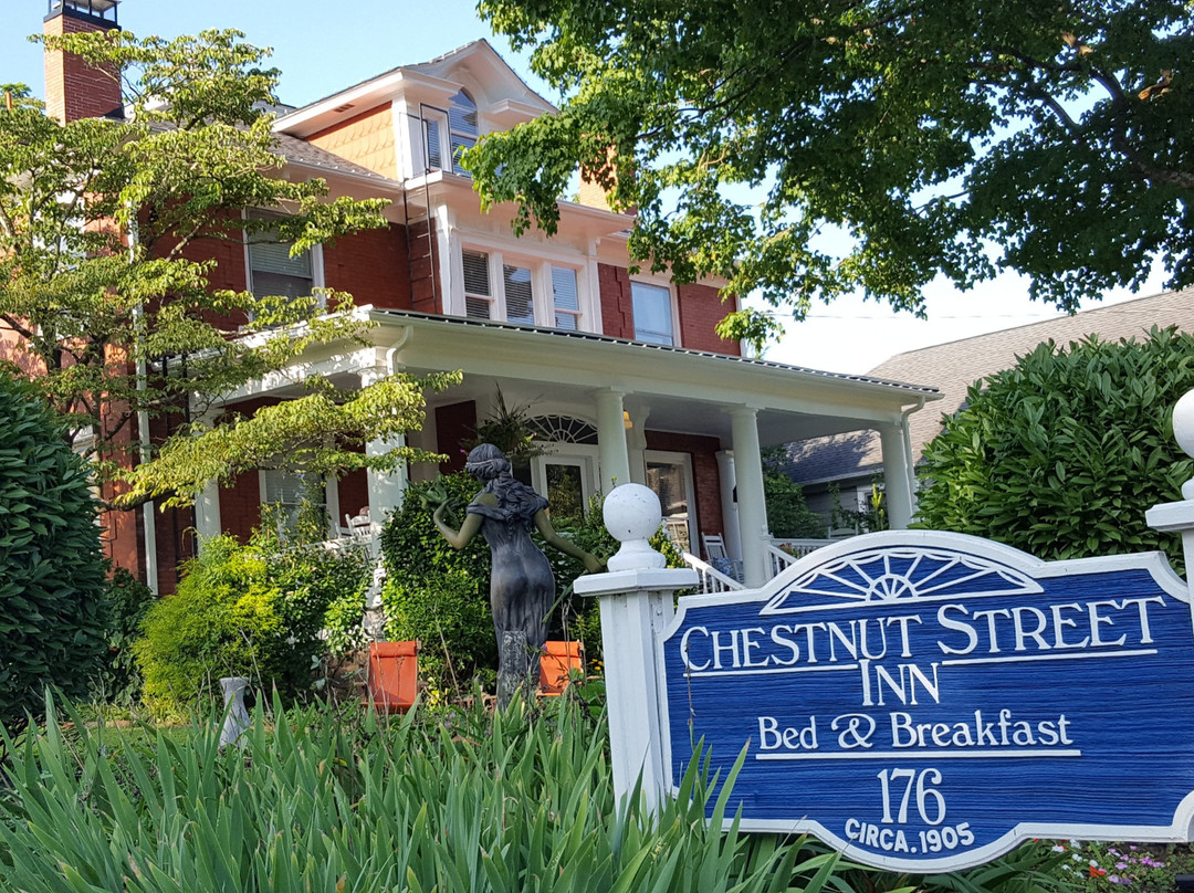 Chestnut Street Inn主图