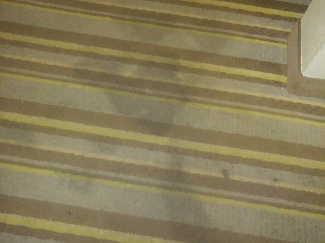 Super 8 by Wyndham Tupelo Airport主图