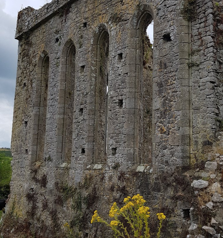 Athassel Priory-蒂珀雷里必去景点