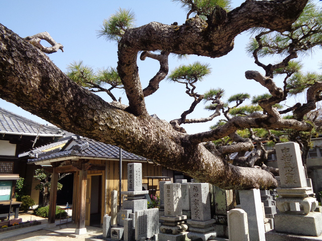 Fumon-ji Temple景点图片