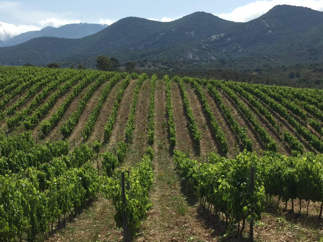 Domaine Orenga de Gaffory-Patrimonio必去景点