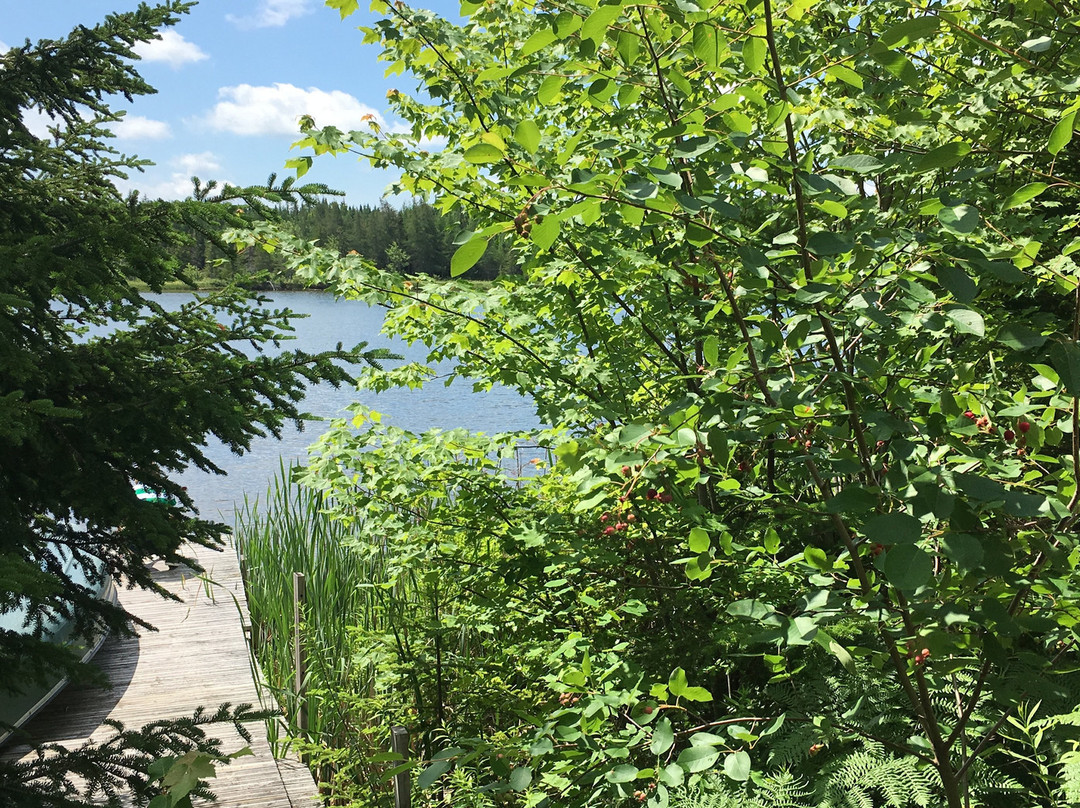 A B&b By The River主图