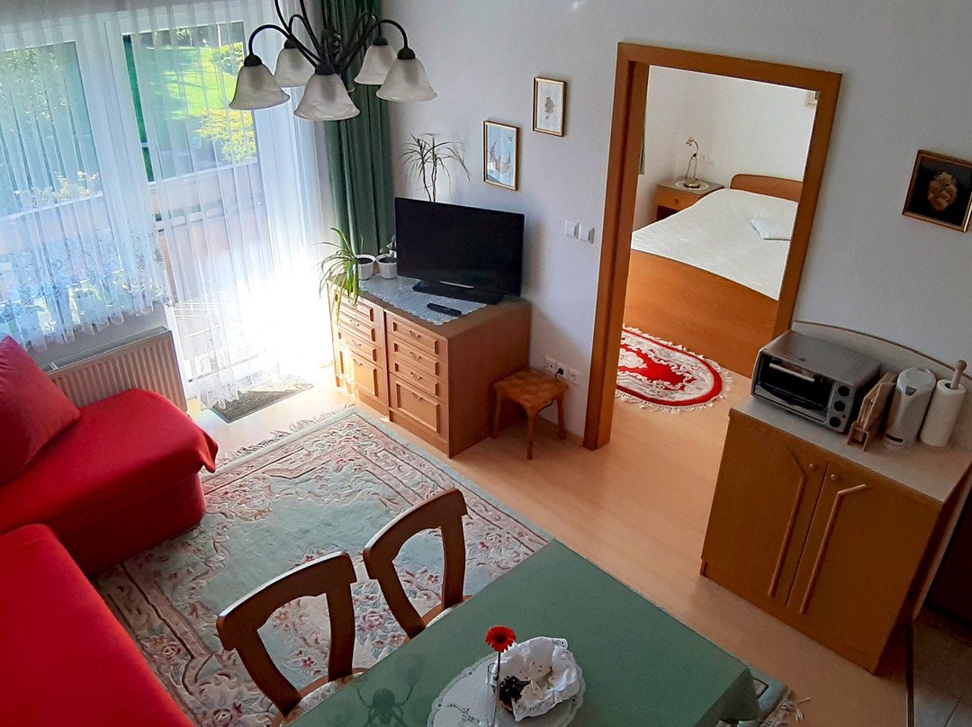 Apartmaji Janša主图