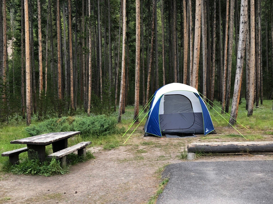 曼迪逊露营地主图