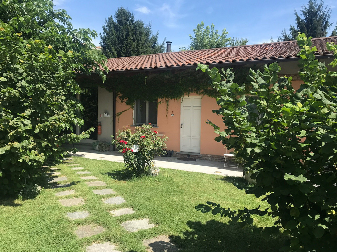 Tenuta Ottocento主图