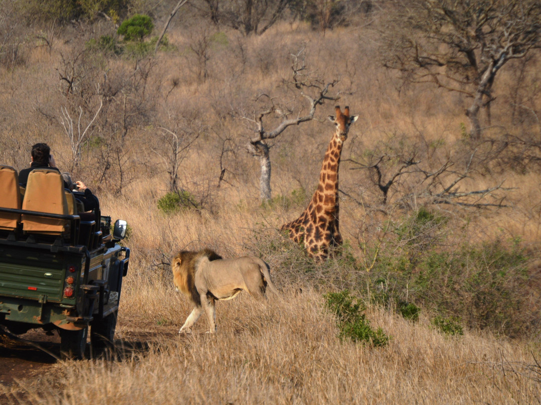 Red Africa Safaris-司库库札必去景点