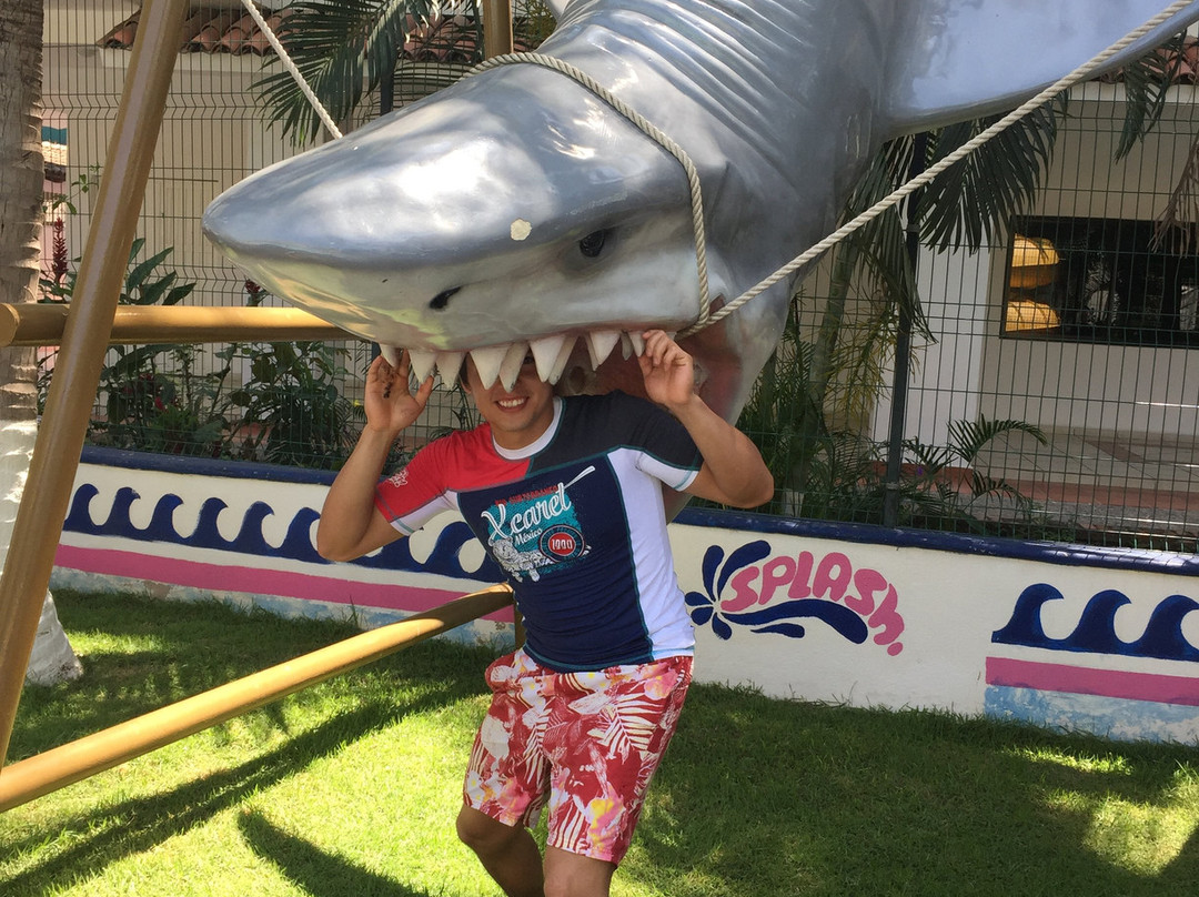 Splash Inn Nuevo Vallarta主图