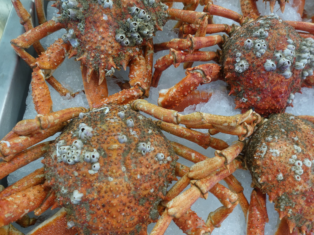 Jersey Public Fish Market-泽西岛必去景点