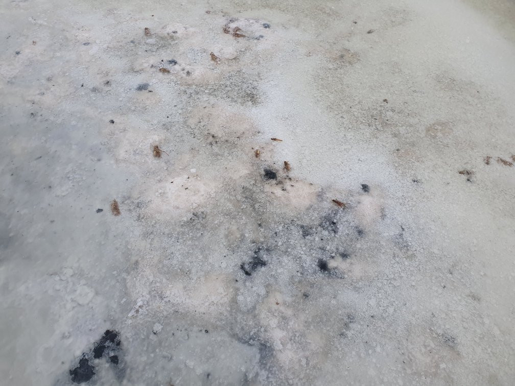 Sorochya Balka-Elton必去景点