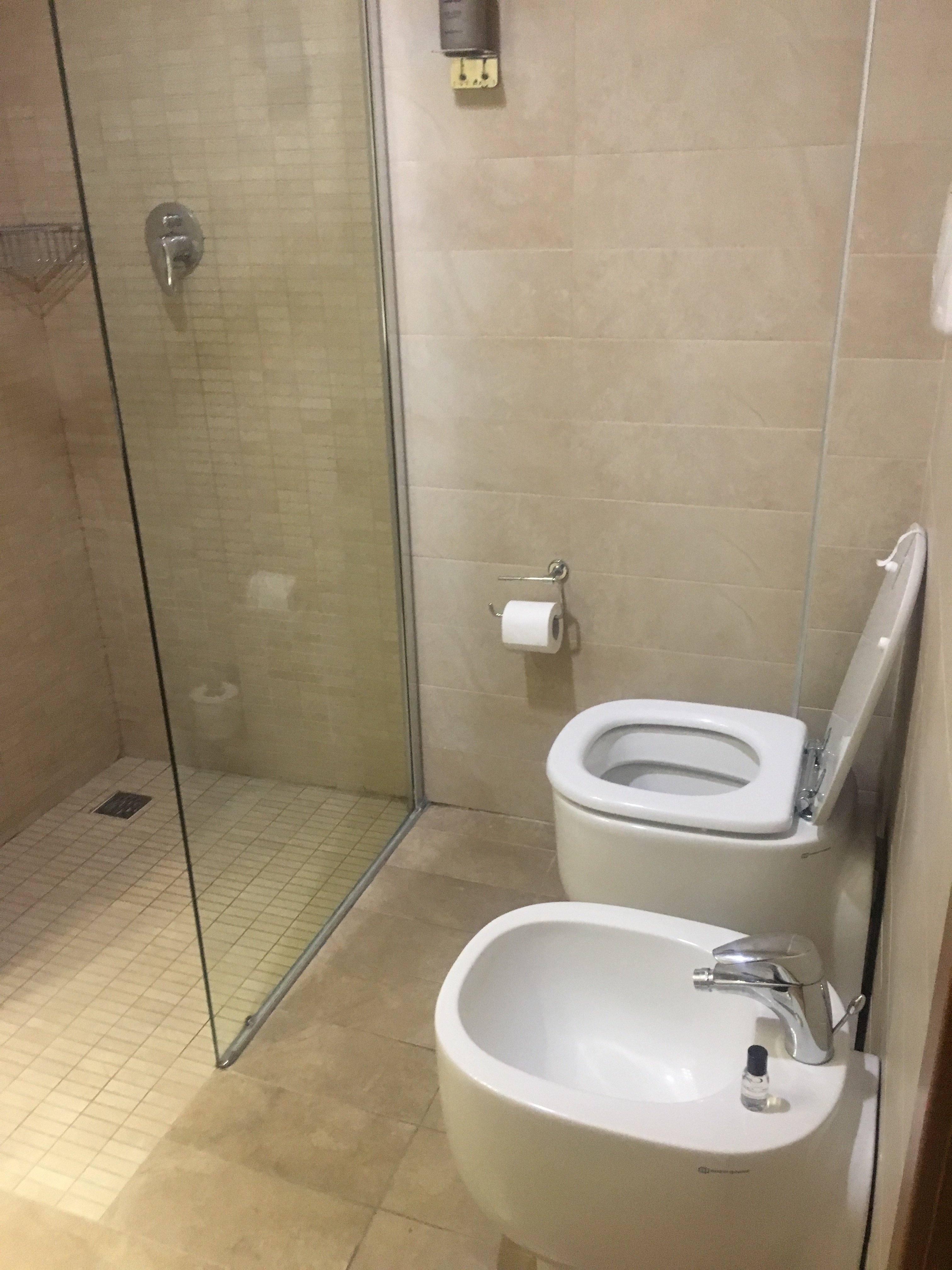 帕尔马会议酒店-浴室