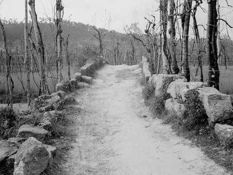 Bridge of Veiga-Lousada必去景点