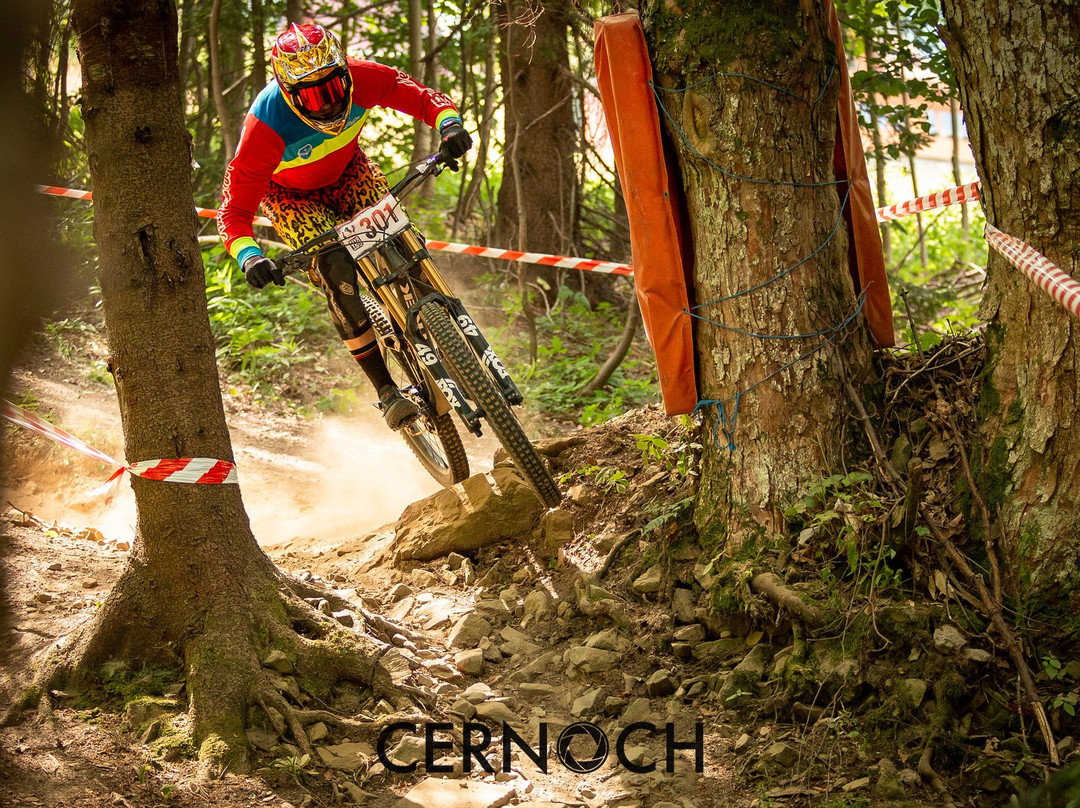 Bike Park Snowparadise Velka Raca-Oscadnica必去景点