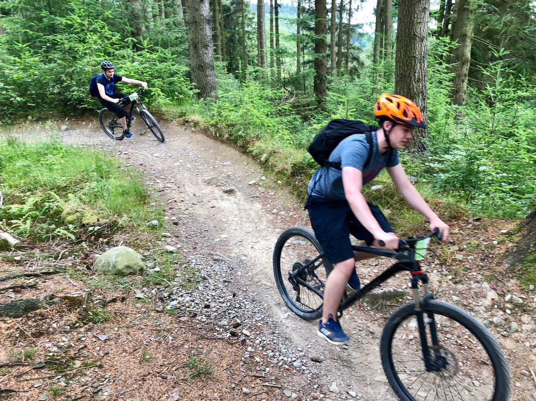 Grizedale Mountain Bikes景点图片