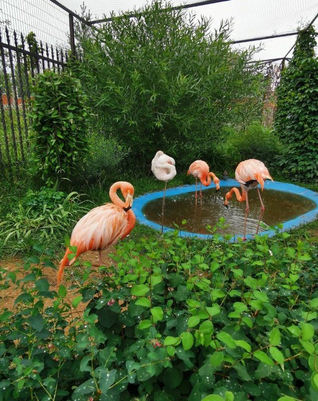 Gosudarstvennyy Zoologicheskiy Park Udmurtii景点图片