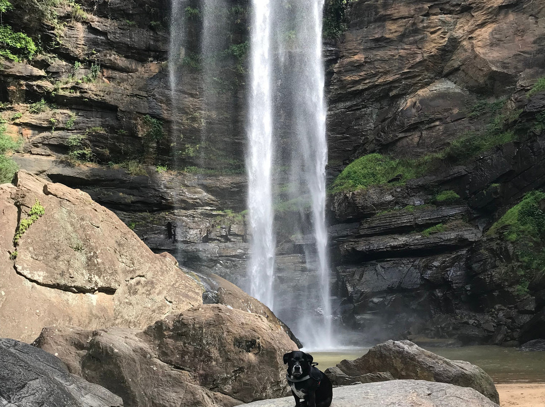 Toccoa Falls-Toccoa必去景点