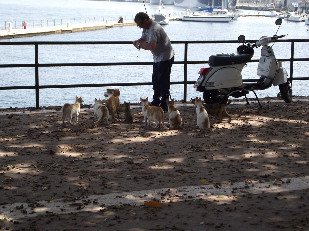 Passeggiata a Mare di Messina景点图片