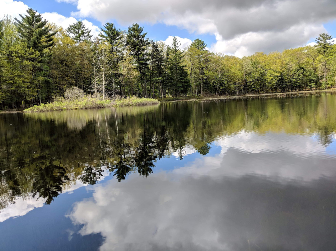 Lake 'N Pines Lodge主图