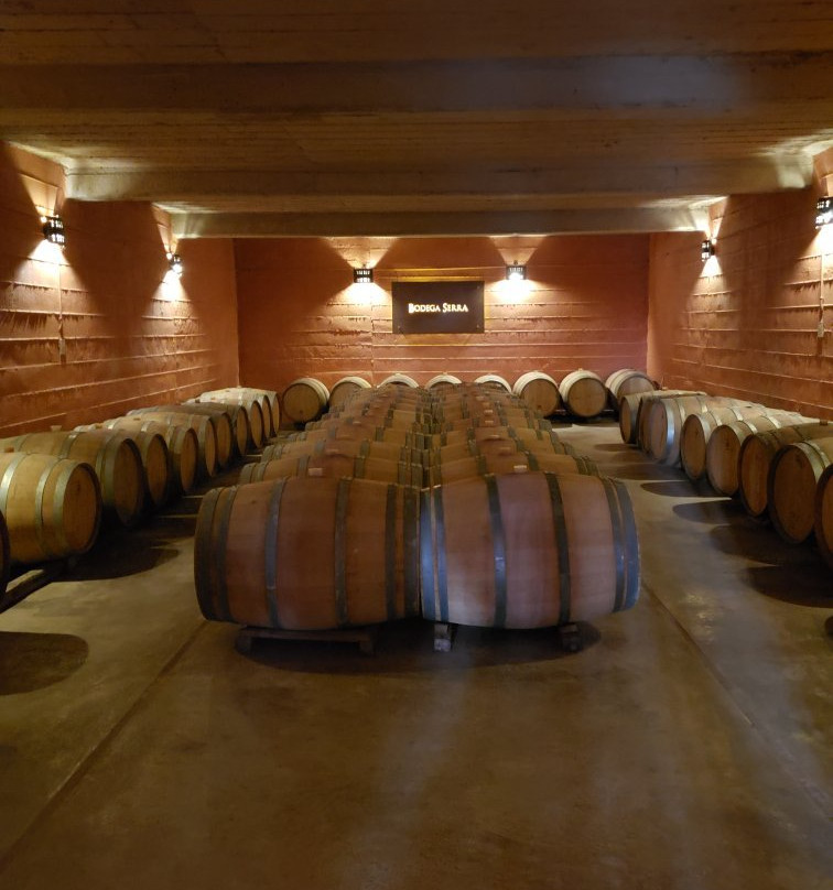 La Vieja Bodega-圣拉斐尔必去景点