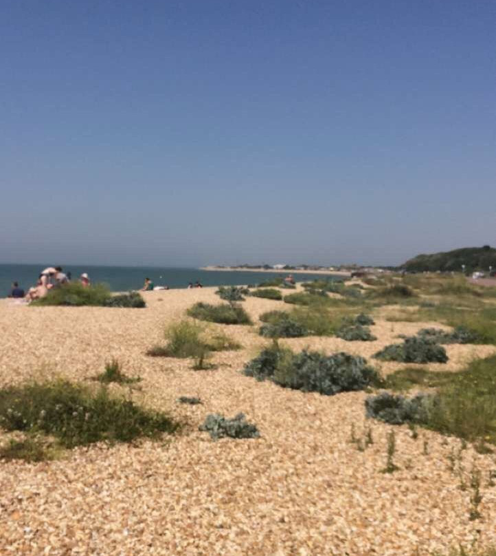 Stokes Bay Beach景点图片