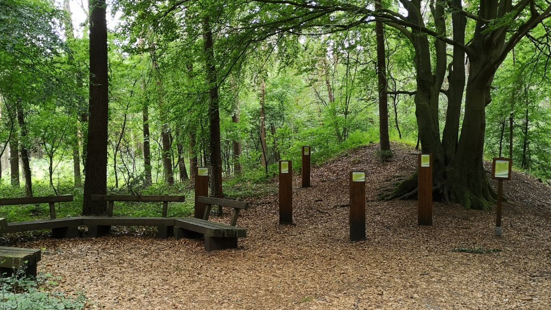 Molbergen旅游攻略图片