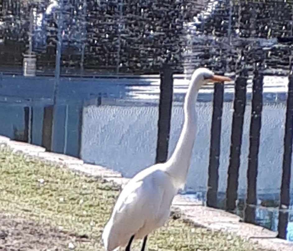 Western Sydney Parklands景点图片