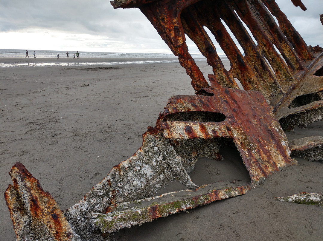 Peter Iredale Ship Wreck景点图片