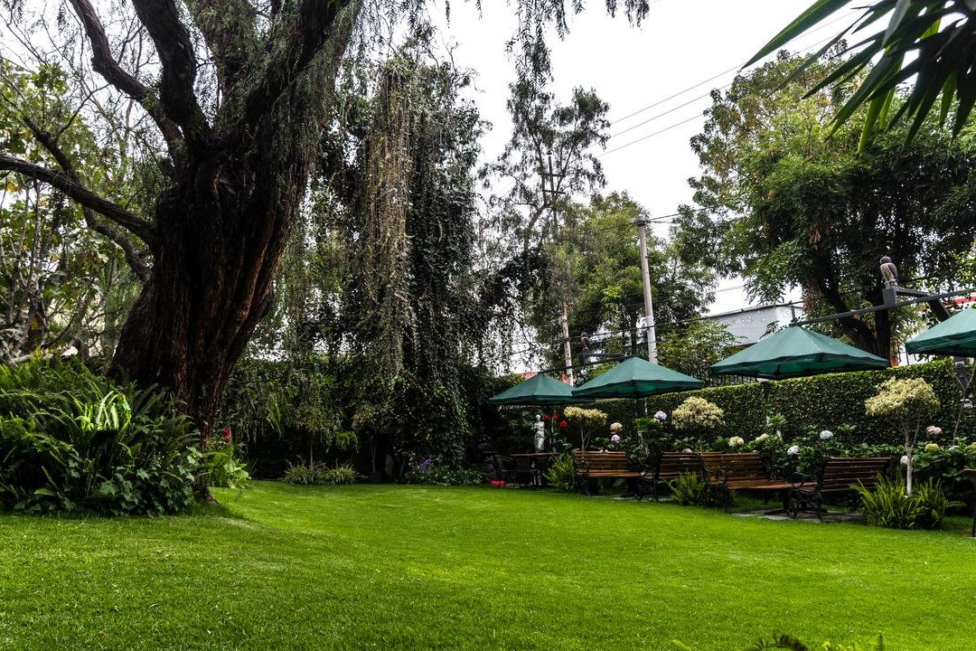 Casagrande Hotel Arequipa主图