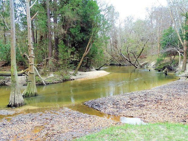 Bohemian Park-费尔霍普必去景点