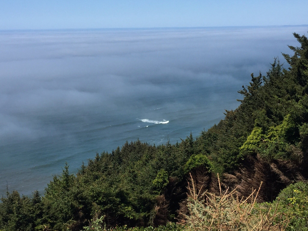 Gold Beach Visitors Center-戈尔德比奇必去景点