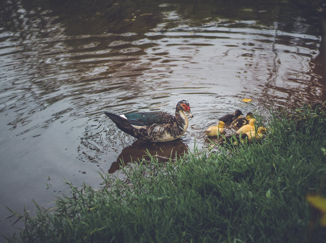 Botanical Garden of Lajeado-Lajeado必去景点