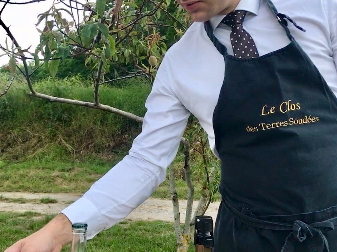 Le Clos des Terres Soudees主图