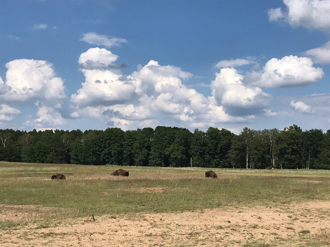 Wildpark Schorfheide-Schorfheide必去景点