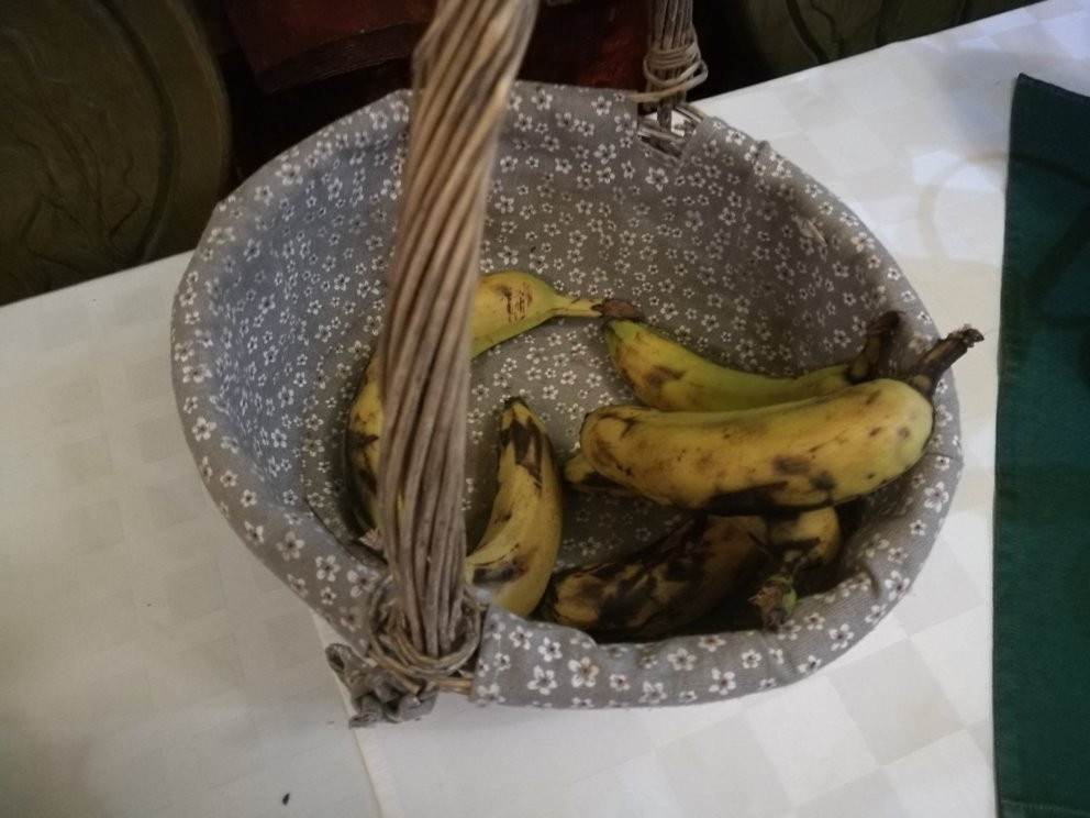 Illés Hotel és Stüszi Vadász Étterem主图