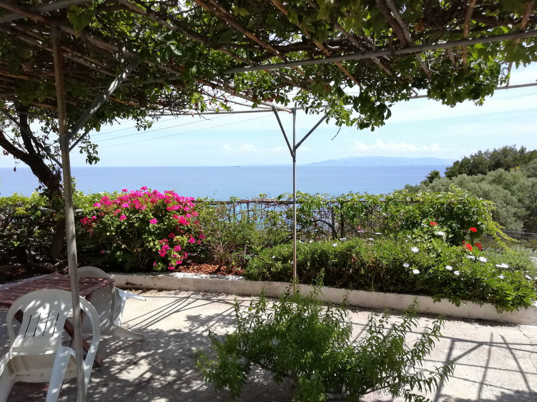 Thanasis Apartments