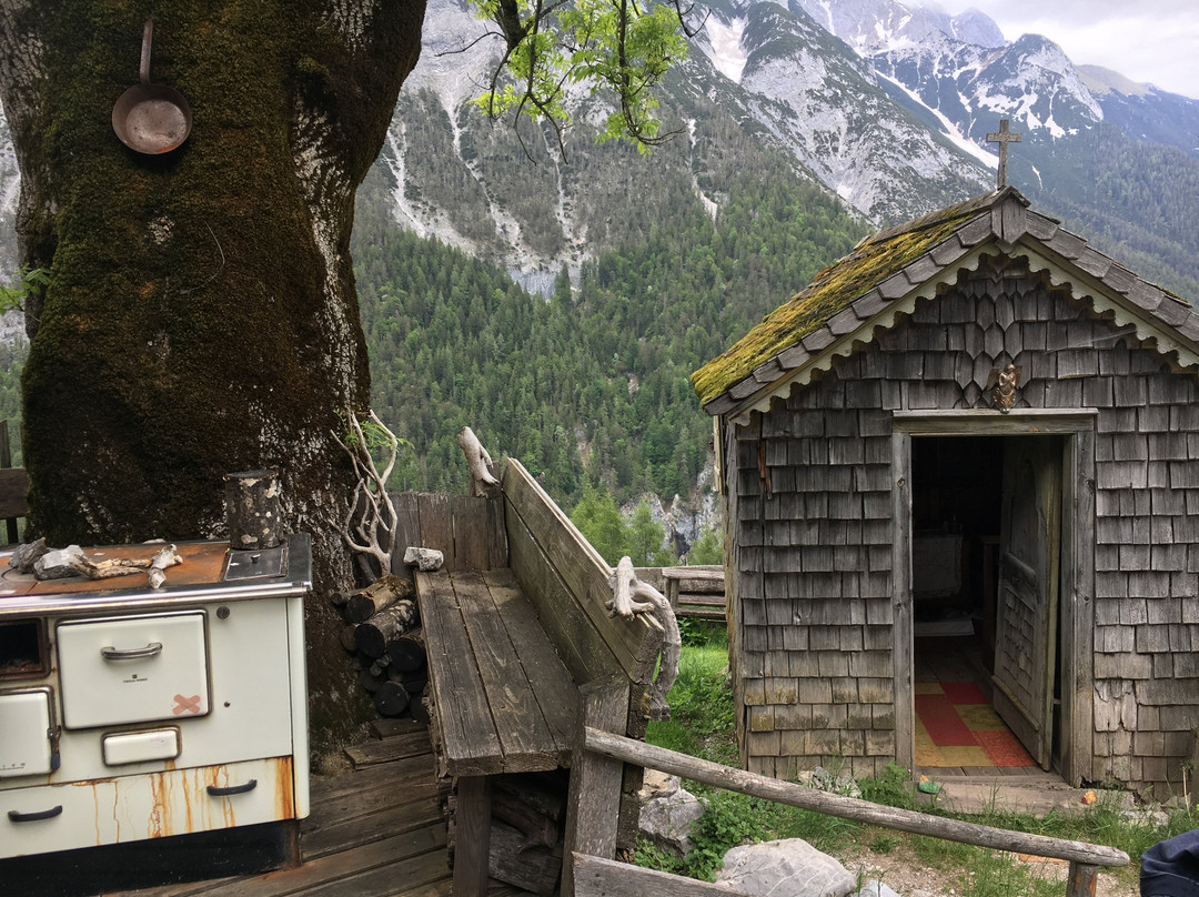 Gasthof Steixner主图