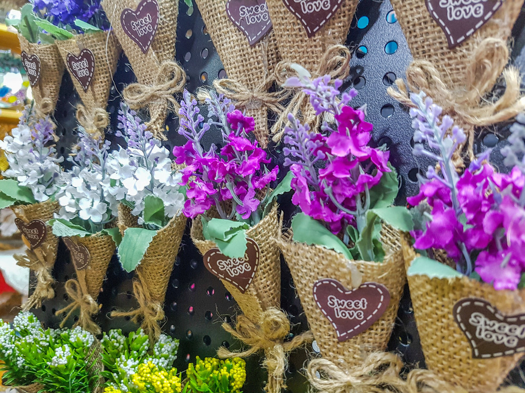 Gavodolla Souvenir Shop-Stari Bar必去景点