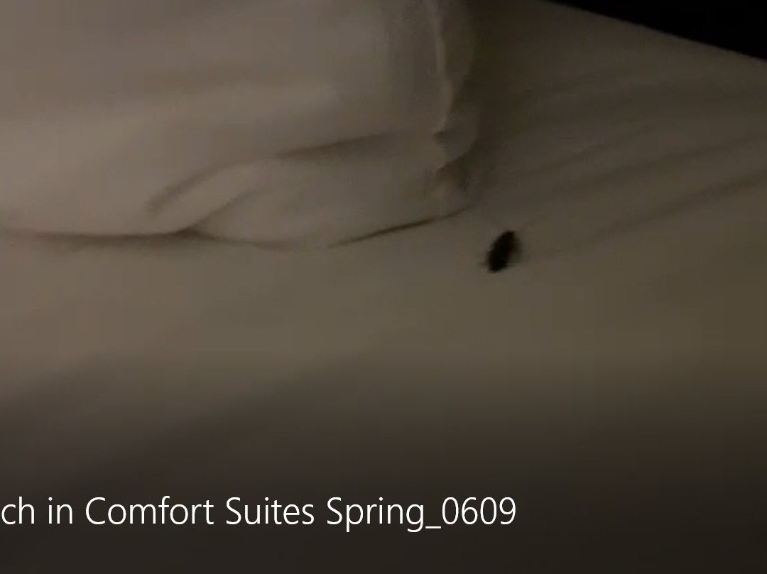 康福特套房酒店主图